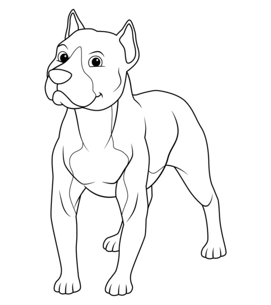Pitbull Perro Dibujos Animados Animal Ilustración — Vector de stock