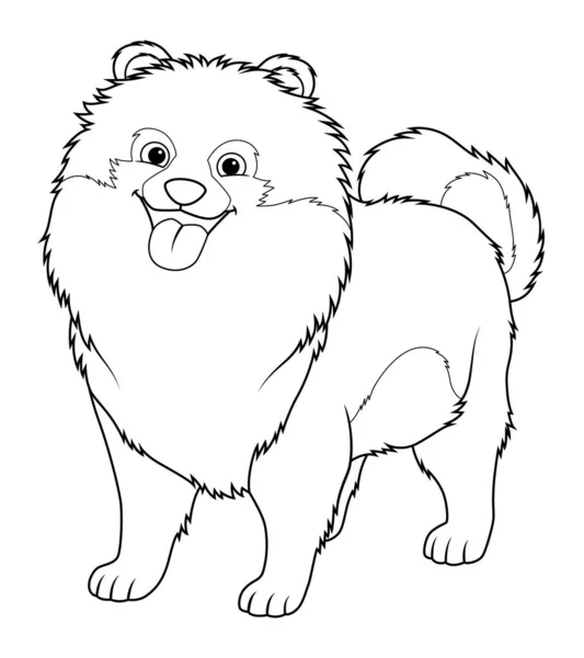 Pomeranian Dog Cartoon Animal Illustration — Stockový vektor