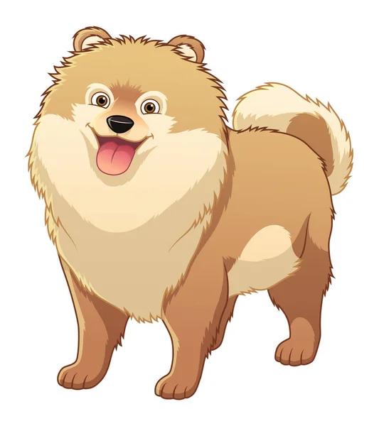 Pomeranian Dog Cartoon Animal Illustration — Vetor de Stock