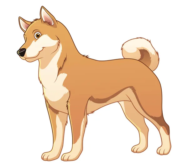 Shiba Inu Dog Εικονογράφηση Ζώων Κινουμένων Σχεδίων — Διανυσματικό Αρχείο