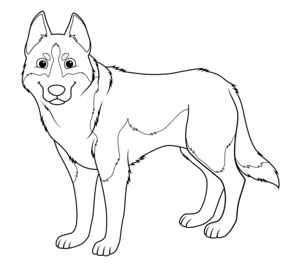 Sibiřský Husky Pes Karikatura Zvíře Ilustrace — Stockový vektor