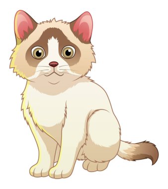 Little Ragdoll Cat Cartoon Animal Illustration clipart
