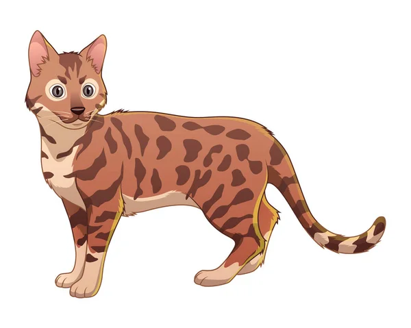 Bengala Gato Desenho Animado Ilustração Animal — Vetor de Stock