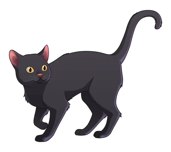 Мультфильм Бомбейская Кошка — стоковый вектор
