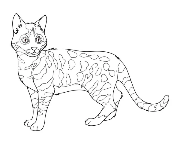 Bengálská Kočka Kreslené Zvíře Ilustrace — Stockový vektor