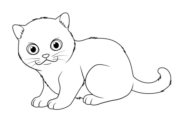 リトル ブリティッシュ ショートヘア猫漫画動物イラストBw — ストックベクタ