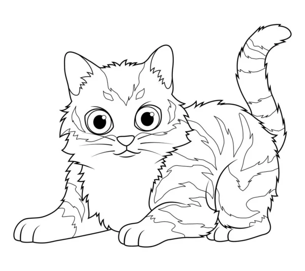 Little Maine Coon Cat Cartoon Animal Illustration — Stock Vector