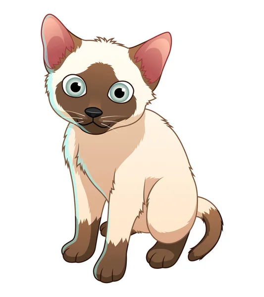 Kleine Siamesische Katze Cartoon Animal Illustration — Stockvektor