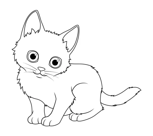 小さなトルコのアンゴラ猫漫画動物イラストBw — ストックベクタ