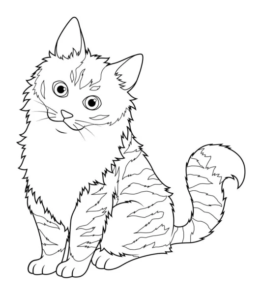 Maine Coon Cat Illustrazione Animale Del Fumetto — Vettoriale Stock