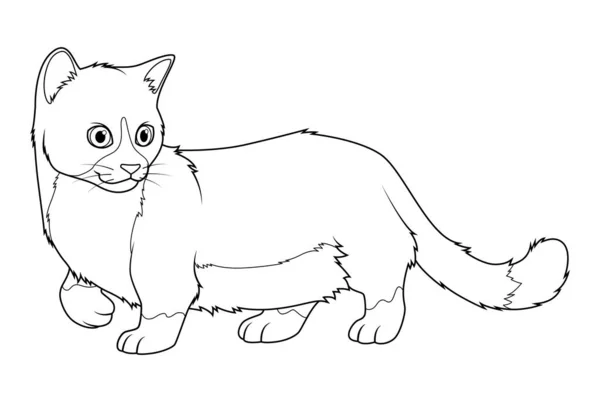 Munchkin Cat Dibujos Animados Animal Ilustración — Vector de stock