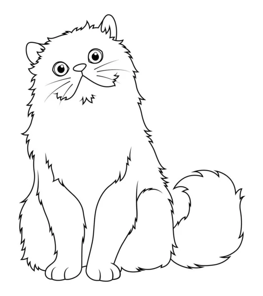 ペルシャ猫漫画動物イラストBw — ストックベクタ