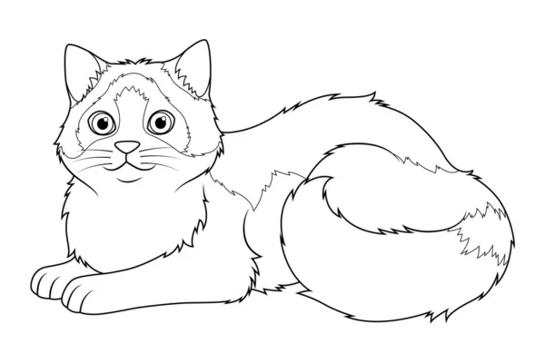 Ilustrasi Hewan Kartun Ragdoll Cat - Stok Vektor