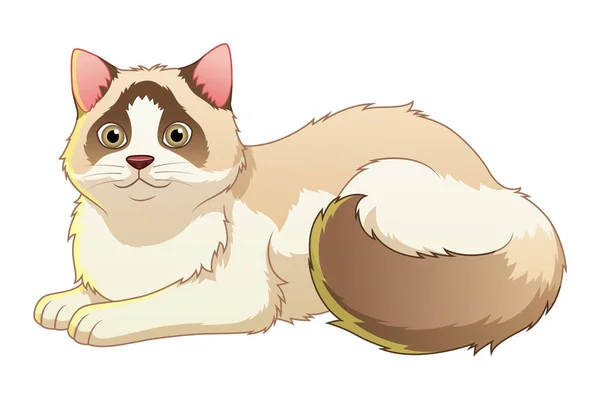 Ragdoll Cat Dibujos Animados Ilustración Animal — Vector de stock