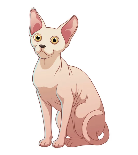 Sphynx Cat Cartoon Animal Illustration — Stockvektor