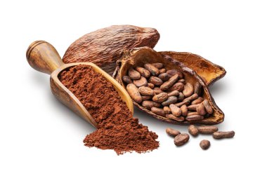 Cacao beans fruit and powder isolated on white background Deep focus clipart