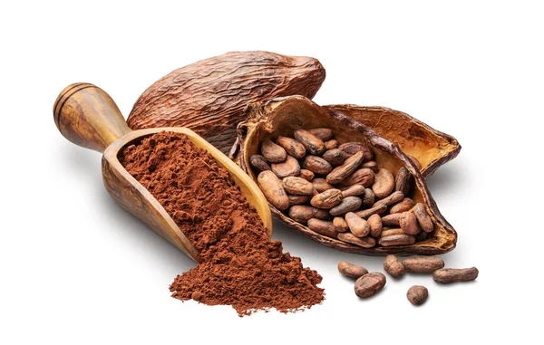 Kakaobohnen Obst Und Pulver Isoliert Auf Weißem Hintergrund Tiefer Fokus Stockbild