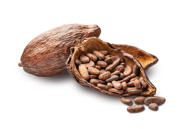 Kakaobönor Och Frukter Isolerade Vit Bakgrund Djupt Fokus — Stockfoto