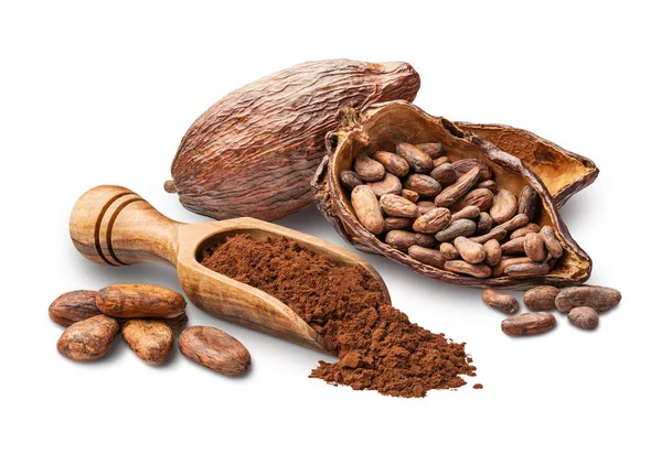 Cacao Beans Fruit Powder Isolated White Background Deep Focus — Stock Photo, Image