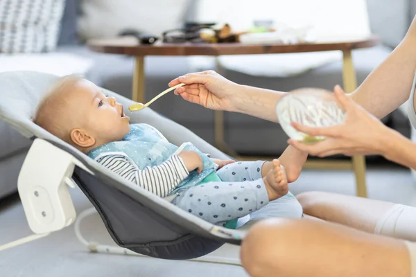 母親のスプーンは赤ちゃんの子供に果物のピューレを与えます 赤ちゃん固形食導入コンセプト ストック写真
