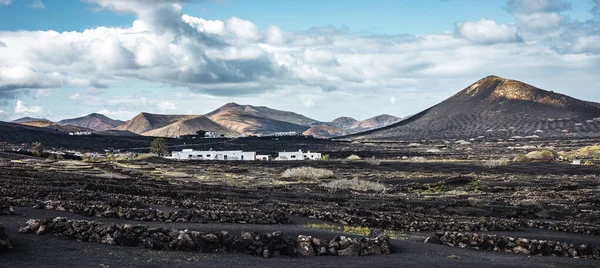 Traditionele Witte Huizen Het Zwarte Vulkanische Landschap Van Geria Wijnbouwgebied — Stockfoto
