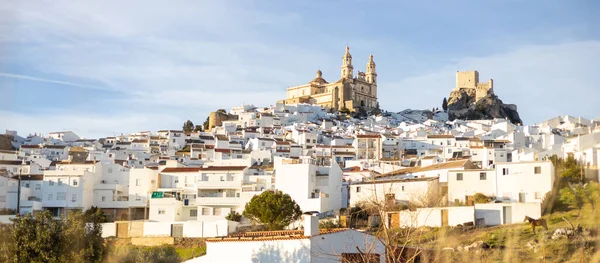 Panoramic Olvera Town Considered Gate White Towns Route Province Cadiz — Stock Photo, Image