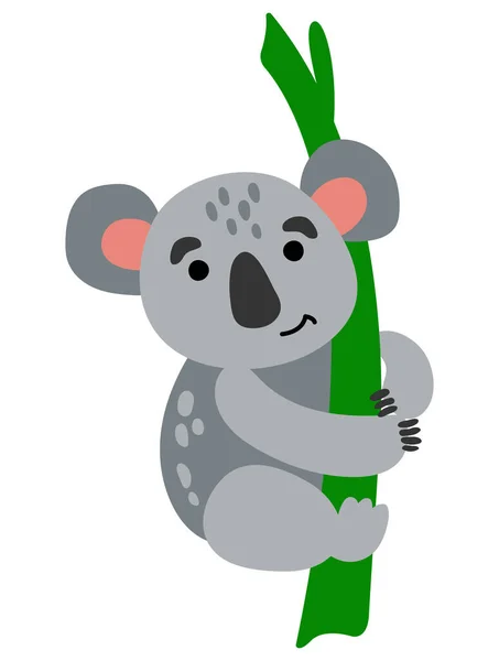 Aranyos Kézzel Rajzolt Koala Állatszafari Fehér Háttér Izolátum — Stock Vector