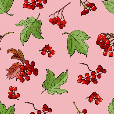 Viburum dutlu kusursuz desen. Kumaş, tekstil, duvar kağıdı, ambalaj için tasarım.