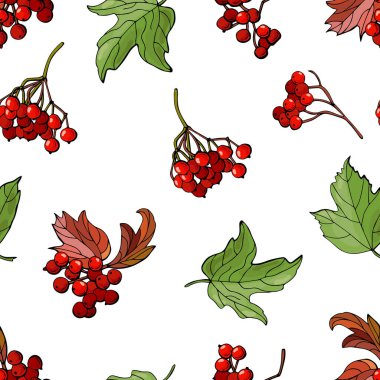 Viburum dutlu kusursuz desen. Kumaş, tekstil, duvar kağıdı, ambalaj için tasarım.