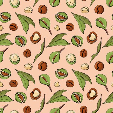Macadamia fındıklı kusursuz desen. Kumaş, tekstil, duvar kağıdı, ambalaj için tasarım.