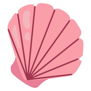 Güzel el yapımı kabuk. Beyaz arkaplan, izole et.