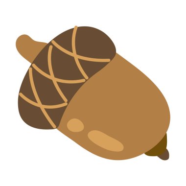 El yapımı meşe palamudu. Beyaz arkaplan, izole et.