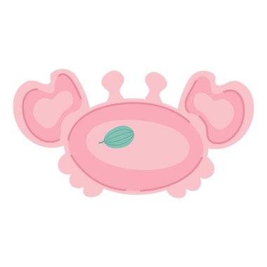 Bektaşi üzümlü çocuk tabağı. Beyaz arkaplan, izole et