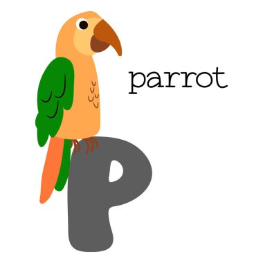 Alfabedeki P harfinin eğitici illüstrasyonu.