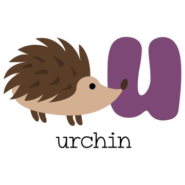 Alfabeden U harfinin eğitici illüstrasyonu.