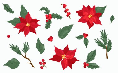  Noktalı çiçekler ve kutsal meyveler. Beyaz arka plan, tecrit. El çizimi biçimi