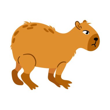 Capybara 'nın tasviri