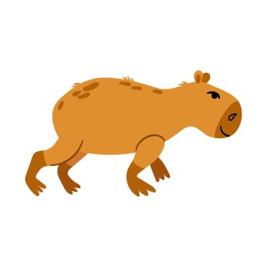 Komik neşeli Capybara. Beyaz arkaplan, izole et