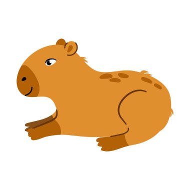 Şirin, komik bir kapibaralı resim. Beyaz izole arkaplan