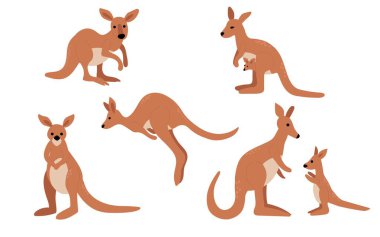 Çeşitli Pozisyonlardaki Kanguruların İllüstrasyonu