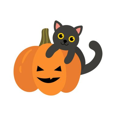 Kara Kedi Cadılar Bayramı 'nda Balkabağı Çizimi