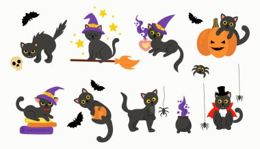 Cadılar Bayramı Kara Kediler ve Ürkütücü Elementler