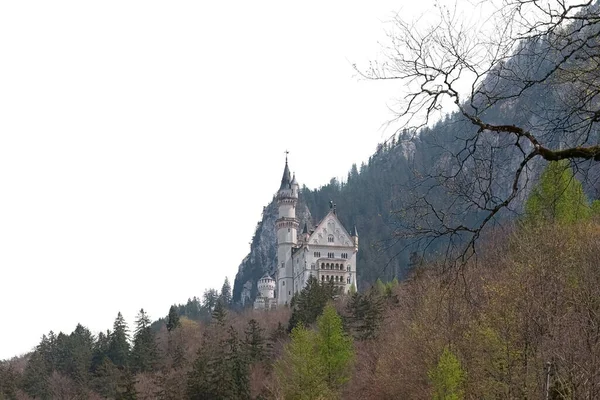 Πρόσοψη Του Κάστρου Neuschwanstein Στο Fussen Γερμανία Απομονώνονται Λευκό Φόντο — Φωτογραφία Αρχείου