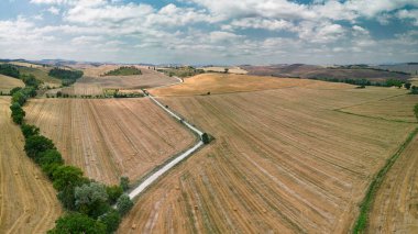 Bir çiftlik evine giden Cypress ağaçlarıyla dolu bir yol. Toskana, İtalya