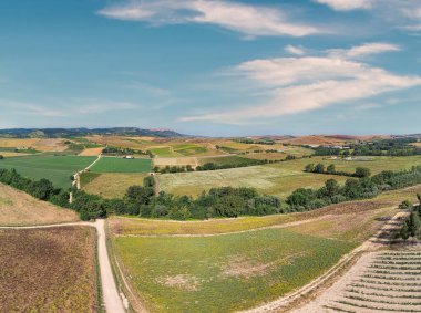 Toskana manzarası San Quirico d Orcia, İtalya yakınlarındaki selvi ağaçlarının yolu üzerinde.