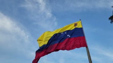 Venezuela Bulutlu Gökyüzüne Karşı Bayrak Dalgalanıyor