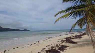 Rincon Sahili. Saman Yarımadası 'ndaki el değmemiş bir plaj, sığ, sıcak, turkuaz suyu, beyaz kum plajı ve bereketli çevresi sayesinde dünyanın en iyi plajlarından biri olarak kabul ediliyor..