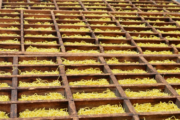 Proceso Secado Fideos Amarillos Una Caja Madera — Foto de Stock