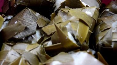 yeni yaprak dokuması ketupat klipsi görüntüleri