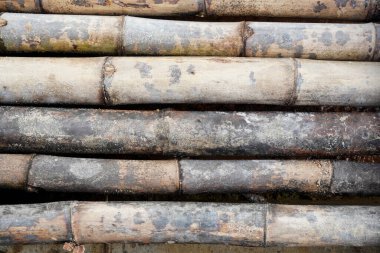 desen soyut kahverengi bambu doku